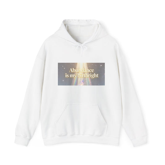 Abundance Is My Birthright Hoodie — Spiritual Affirmation Graphic Hoodie