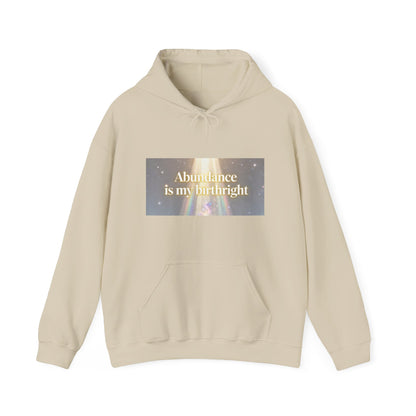 Abundance Is My Birthright Hoodie — Spiritual Affirmation Graphic Hoodie
