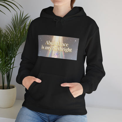 Abundance Is My Birthright Hoodie — Spiritual Affirmation Graphic Hoodie