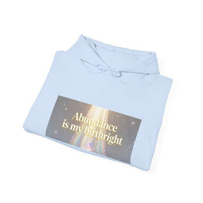 Abundance Is My Birthright Hoodie — Spiritual Affirmation Graphic Hoodie
