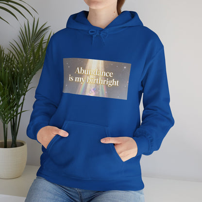 Abundance Is My Birthright Hoodie — Spiritual Affirmation Graphic Hoodie