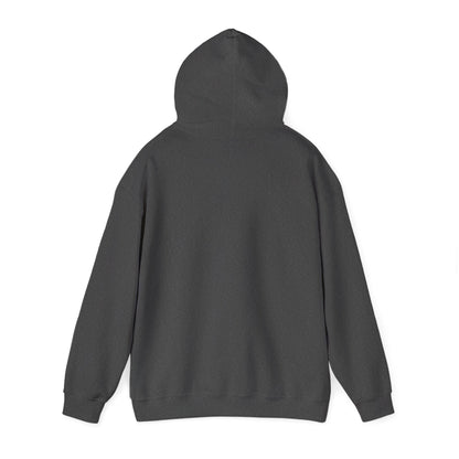 Heart Galaxy Graphic Hoodie — "Universe, show me how good it can get"