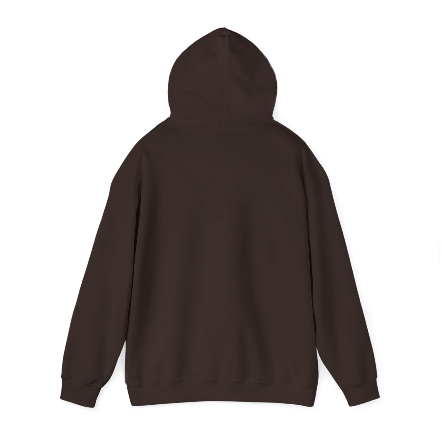 Ramen Master Hoodie — Retro Chef Anime Noodle Lover "Ascension level: Ramen Master"