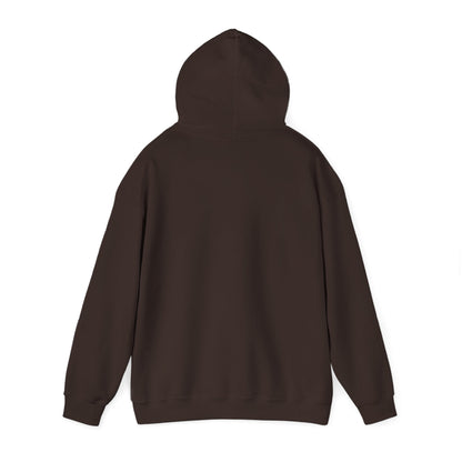 Ramen Master Hoodie — Retro Chef Anime Noodle Lover "Ascension level: Ramen Master"