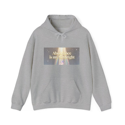 Abundance Is My Birthright Hoodie — Spiritual Affirmation Graphic Hoodie