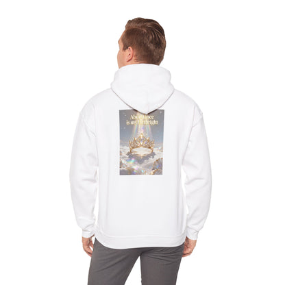 Abundance Is My Birthright Hoodie — Spiritual Affirmation Graphic Hoodie