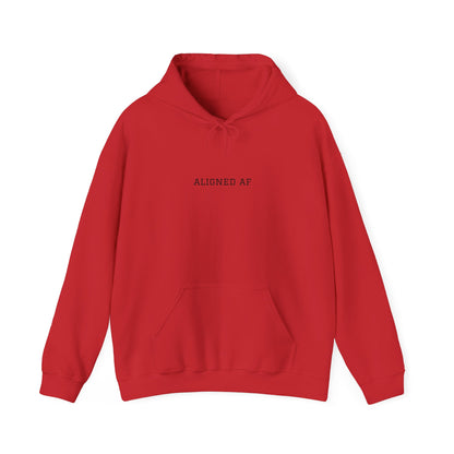 Aligned AF Hoodie | Chakra Spiral Meditation Back Graphic