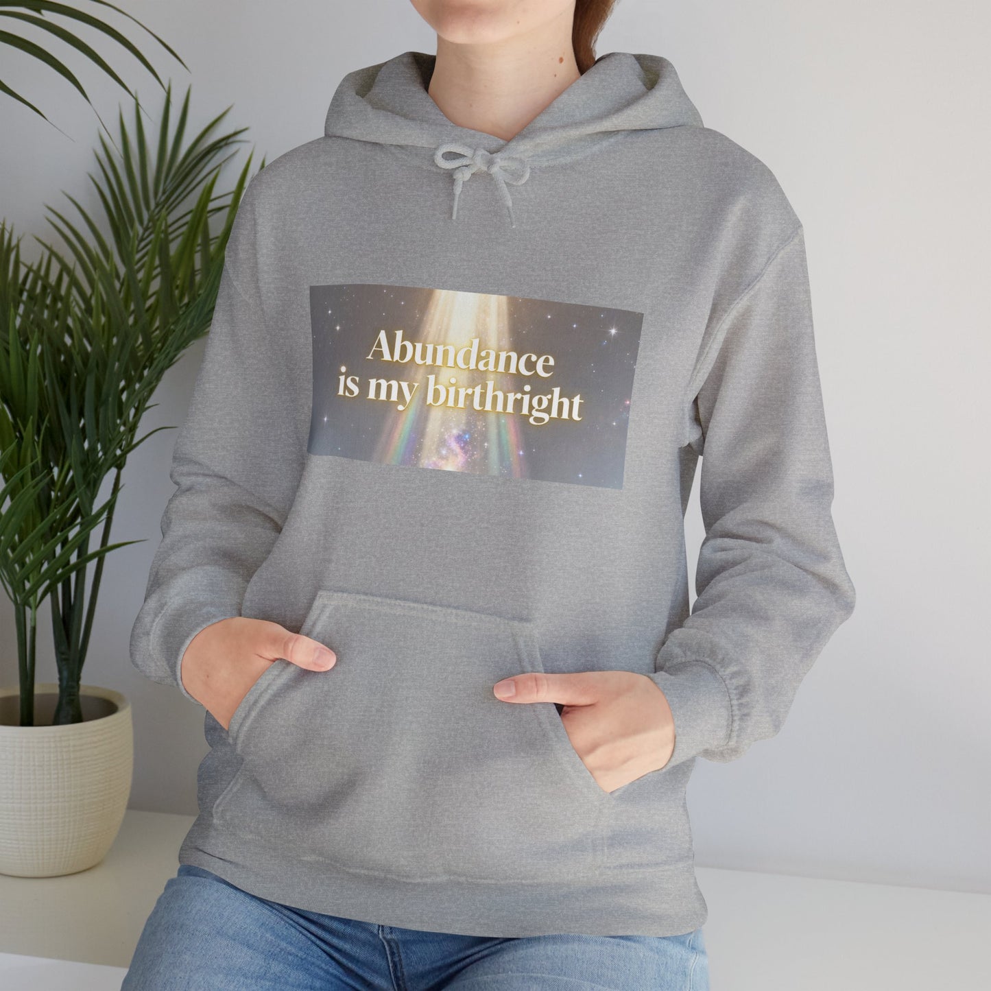 Abundance Is My Birthright Hoodie — Spiritual Affirmation Graphic Hoodie