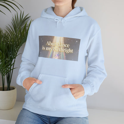 Abundance Is My Birthright Hoodie — Spiritual Affirmation Graphic Hoodie