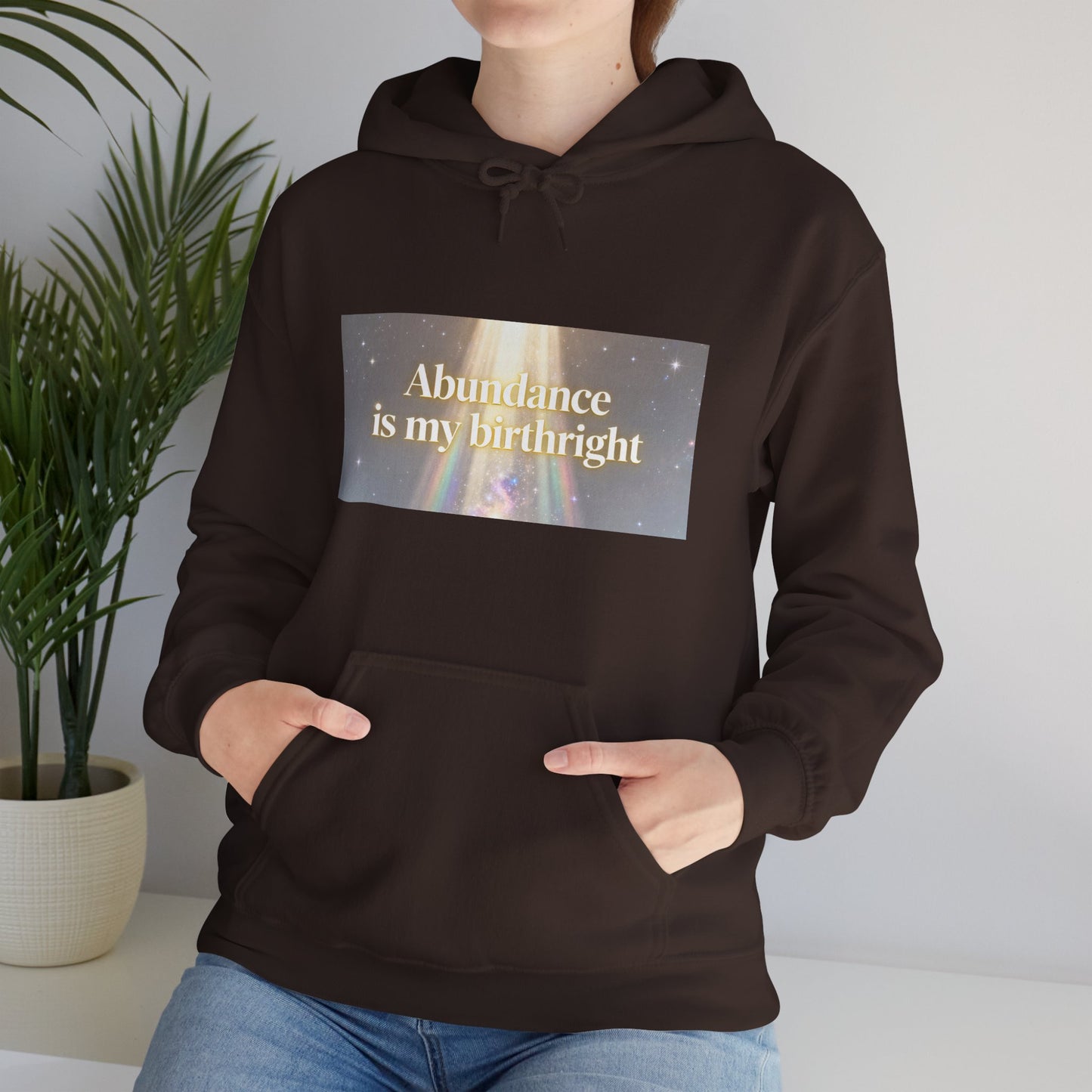 Abundance Is My Birthright Hoodie — Spiritual Affirmation Graphic Hoodie