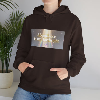 Abundance Is My Birthright Hoodie — Spiritual Affirmation Graphic Hoodie