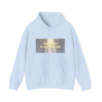 Abundance Is My Birthright Hoodie — Spiritual Affirmation Graphic Hoodie