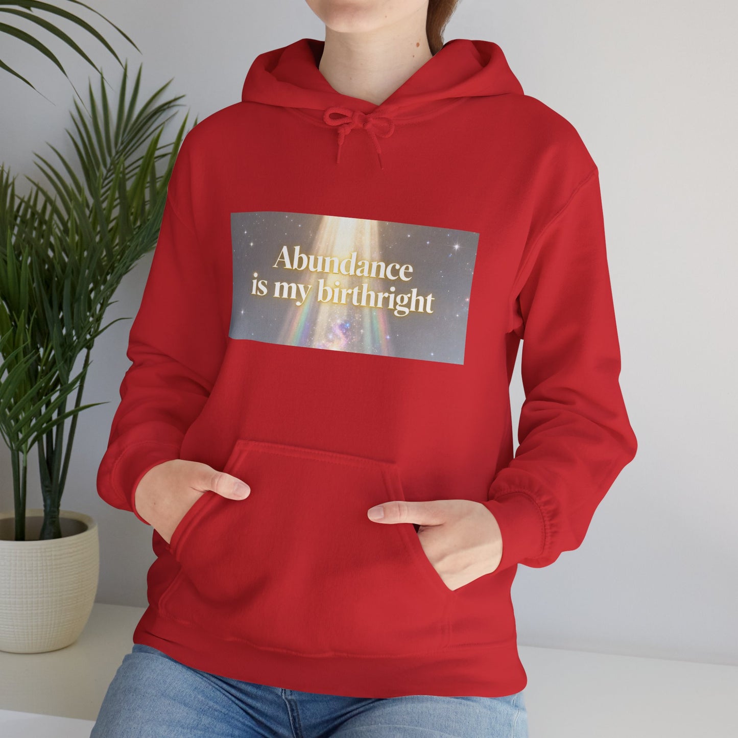 Abundance Is My Birthright Hoodie — Spiritual Affirmation Graphic Hoodie