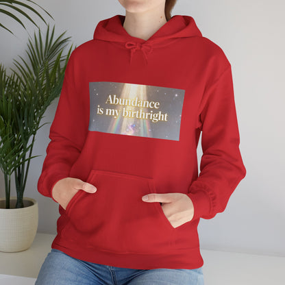 Abundance Is My Birthright Hoodie — Spiritual Affirmation Graphic Hoodie