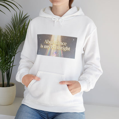 Abundance Is My Birthright Hoodie — Spiritual Affirmation Graphic Hoodie