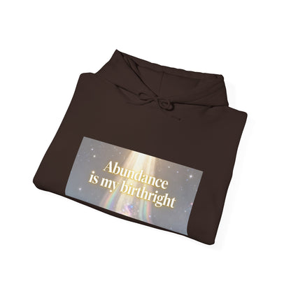 Abundance Is My Birthright Hoodie — Spiritual Affirmation Graphic Hoodie