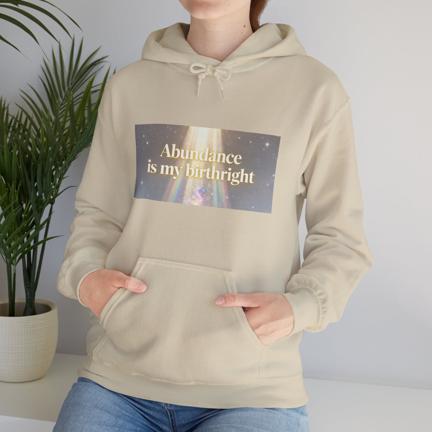 Abundance Is My Birthright Hoodie — Spiritual Affirmation Graphic Hoodie