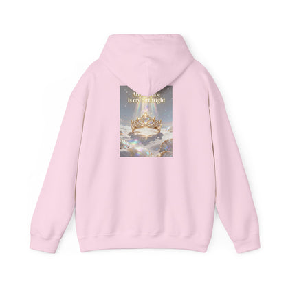 Abundance Is My Birthright Hoodie — Spiritual Affirmation Graphic Hoodie
