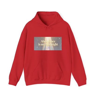 Abundance Is My Birthright Hoodie — Spiritual Affirmation Graphic Hoodie