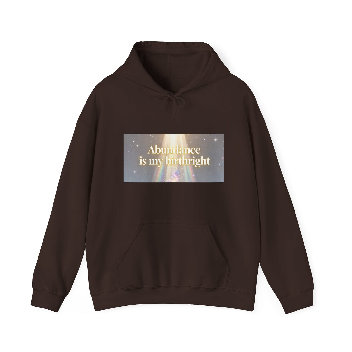 Abundance Is My Birthright Hoodie — Spiritual Affirmation Graphic Hoodie
