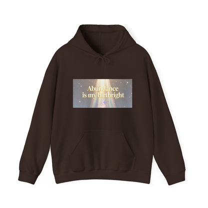 Abundance Is My Birthright Hoodie — Spiritual Affirmation Graphic Hoodie