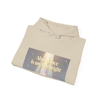 Abundance Is My Birthright Hoodie — Spiritual Affirmation Graphic Hoodie