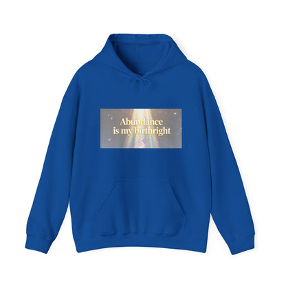 Abundance Is My Birthright Hoodie — Spiritual Affirmation Graphic Hoodie
